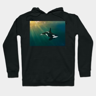 Orca underwater sunset scene Hoodie